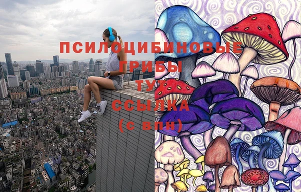 Альфа ПВП Белоозёрский