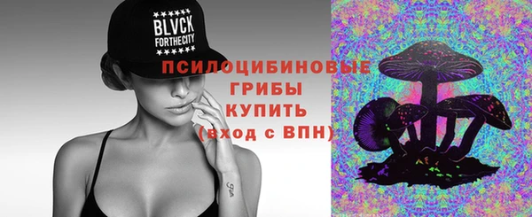сатива Беломорск