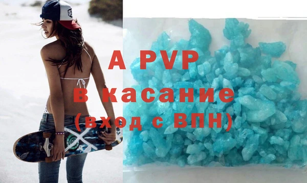 сатива Беломорск