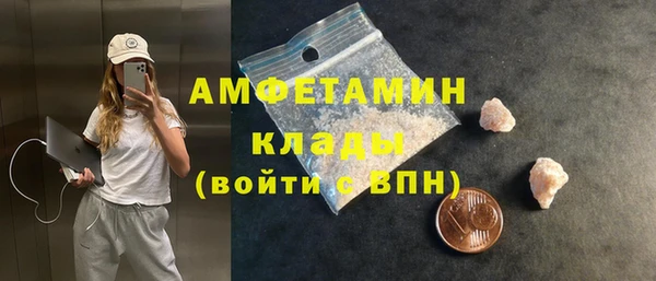 сатива Беломорск