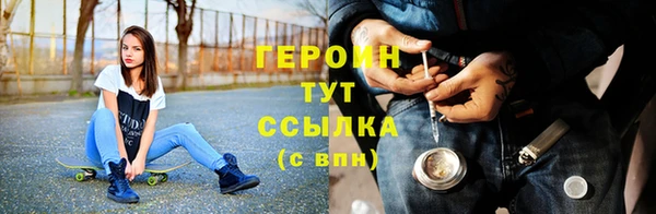 сатива Беломорск